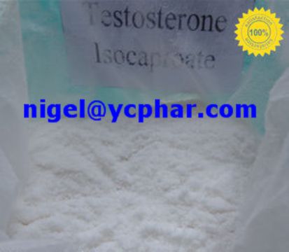 Testosterone Isocaproate 